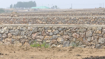 泰安新泰市樓德鎮(zhèn) 土地整理賦能特色產(chǎn)業(yè)，繪就鄉(xiāng)村振興新畫卷